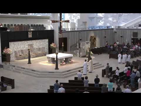 21/08/2023 | Thứ Hai Tuần XX Mùa Thường Niên | Trực Tuyến Từ Nhà Thờ Chánh Tòa Chúa Kitô