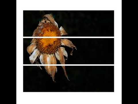 CHXPO FT LIL PEEP & AGOFF - DRIP REMIX [PROD BY ELF] SLOWED N' THROWED BY $X$