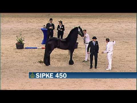 KFPS Hengstenkeuring Rubriek 04