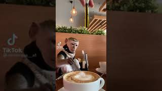 Download lagu Monkey drinking coffee mp3