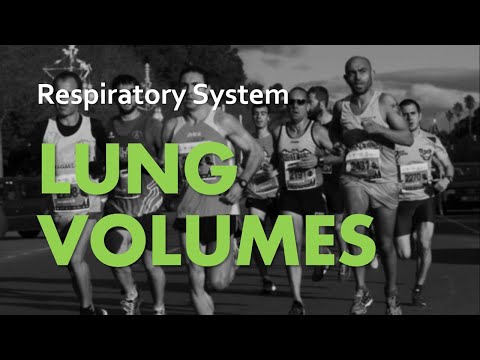 Lung Volumes | Respiratory System 03 | Anatomy & Physiology