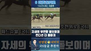 [서울 경마] 민병철 대박픽 2025년 10월 25일 토요 3R 추천마1 #경마 #하이라이트 #한국마사회 #고배당 #검빛 #코리아