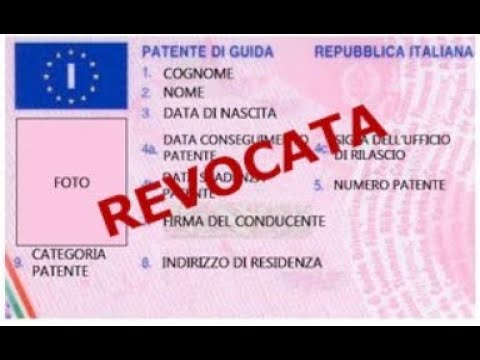 License revocation. When can I get it back?