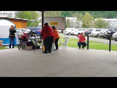 Klubová výstava psů Mladá Boleslav 27.4.2019