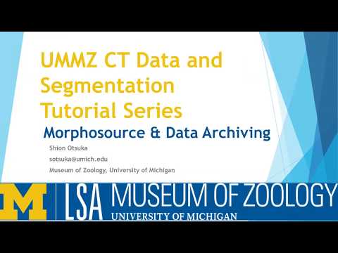 UMMZ CT Data & Segmentation Tutorial Series - Episode 5