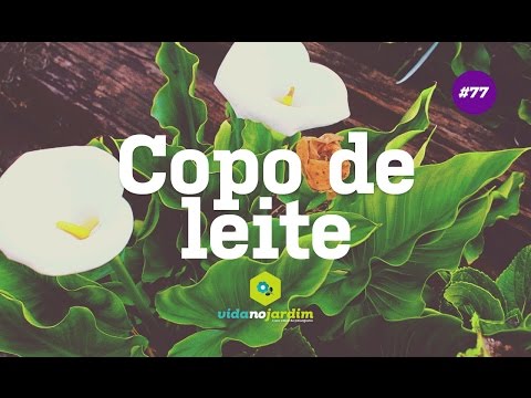 Glass of milk - Growing tips