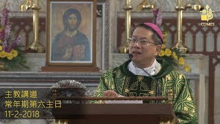 常年期第六主日