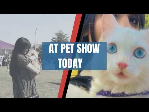 Pet Show || A dog attacked me | max Was thirsty || ramp walk || blessed day 🥰@artistnimra
