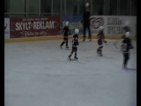 Nybro vikings Team 02/03