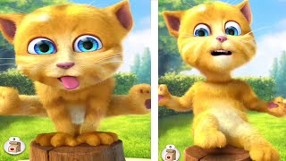 Talking Ginger Eating