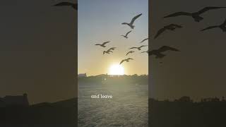 Download lagu Gary Wright.  RIP. 1943 - 2023 #dreamweaver #garywright mp3