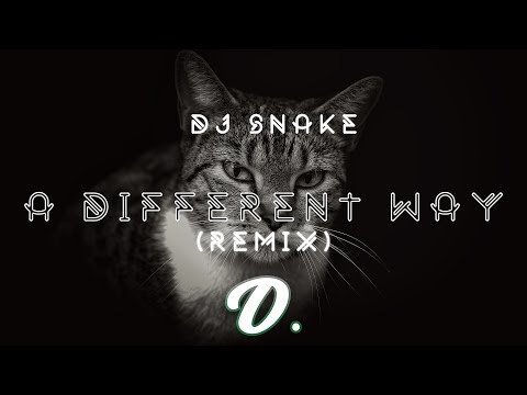 Dj Snake & Lauv - A Different Way (Chris Robleda & Unregular Remix)