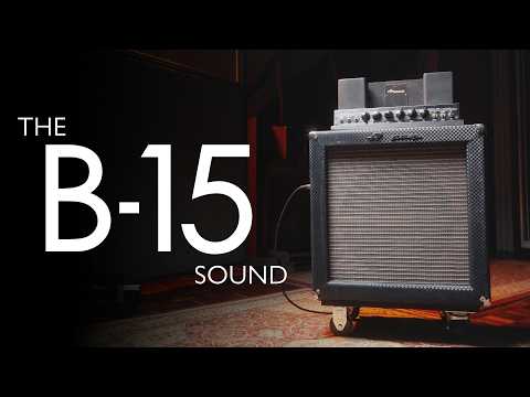 Ampeg B-15N Portaflex 25-Watt 1x15" Bass Combo 1968 - 1980 - Black Vinyl imagen 4