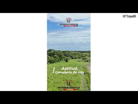 Campo Ganadero en San Lorenzo (Corrientes) | 315 ha para Desarrollar