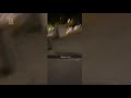 Deze video 'Waggie in vik' circuleert op sociale media