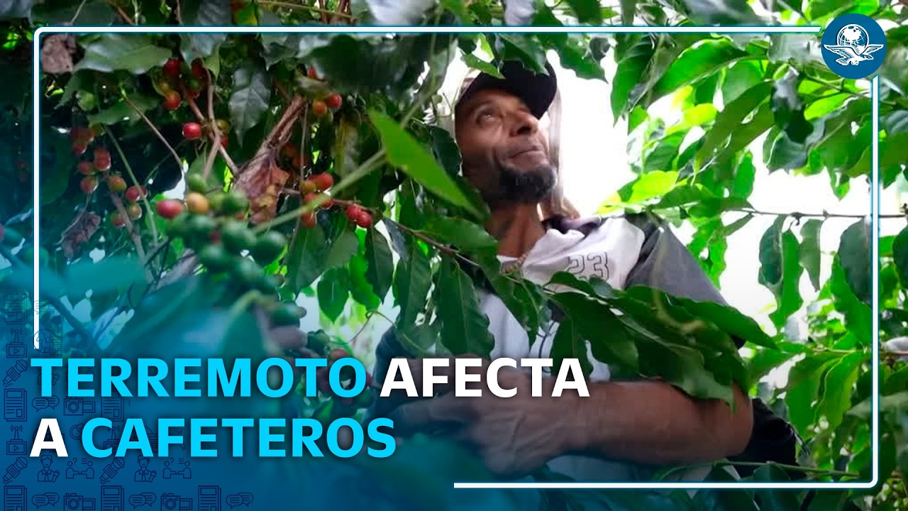Terremoto complica la recolección de café en Colombia