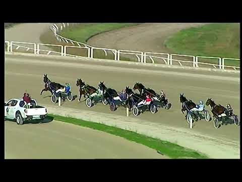 Trotto 27/11/2020 - 3ª corsa