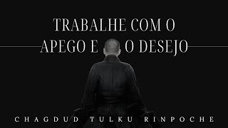 Trabalhe com o Apego e o Desejo - Chagdud Tulku Rinpoche