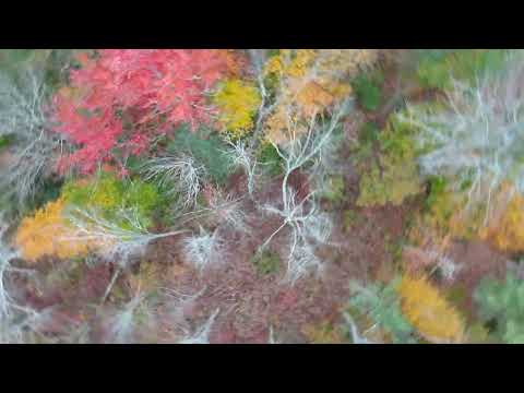 Autel Evo Lite  Test Flights