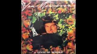 Van Morrison - A Sense Of Wonder 💎