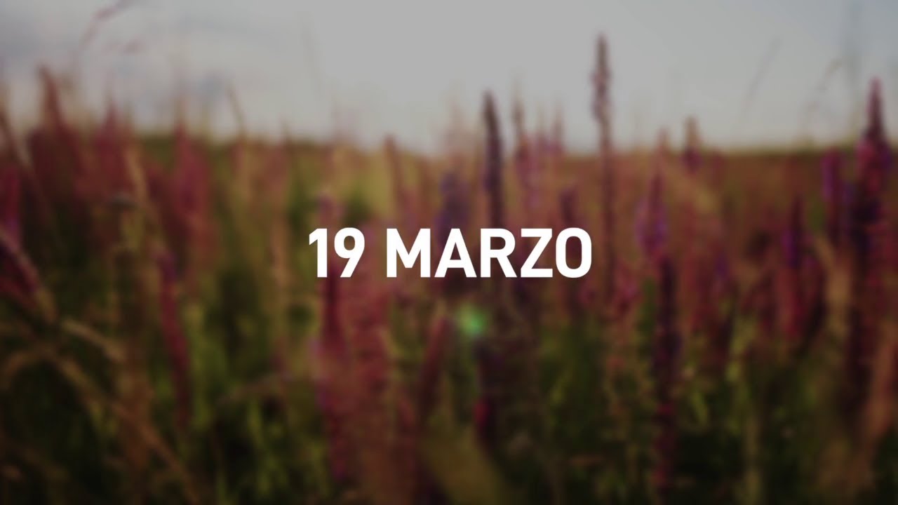 19 Marzo 2025 | Meditazione Parole di Vita