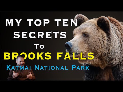 My Top Ten Secrets to Brooks Falls, Katmai National Park.