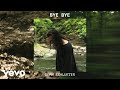 Seph Schlueter - Bye Bye (Visualizer)