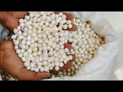 White vastu pearl (moti)