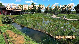 水元公園までサイクリング