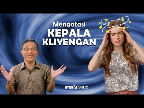MENGATASI KEPALA KLIYENGAN...
