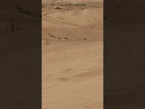 Helooooo from Wahibah sands