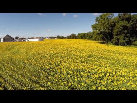 youtube embeded image