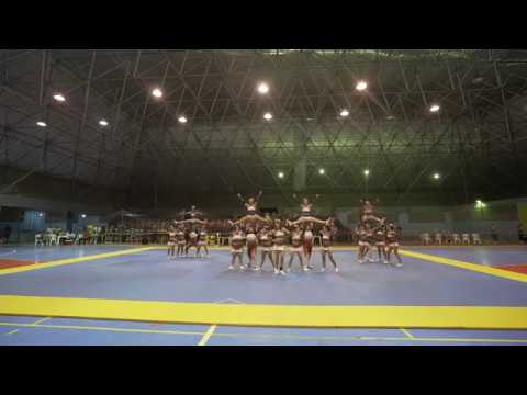 Goriletes -  V INTERMED BA 2019