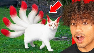 Download lagu RAREST Animals That ACTUALLY EXIST! mp3 Download lagu RAREST Animals That ACTUALLY EXIST! mp3