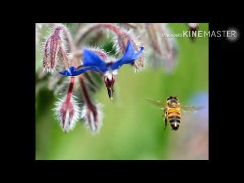 Negativ ,, Îmi place școala ‘’ de Ariana Mesina