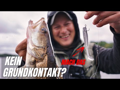 GAME CHANGER METHODE | Zander fangen kinderleicht | Mit genialer Dropshot Montage