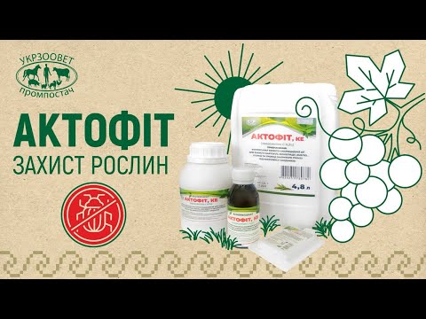 Відео превʼю