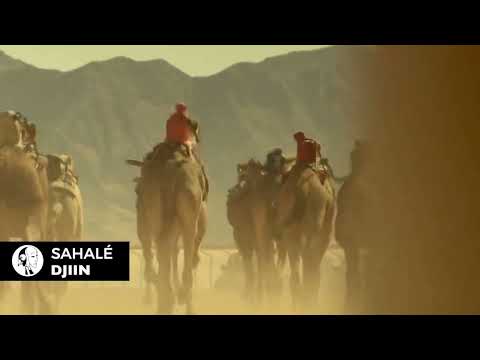 Sahalé - Djiin | Timeless Downtempo Masterpiece