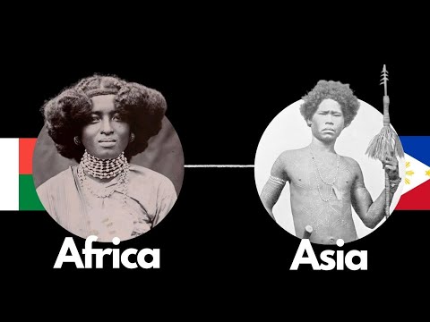 How A Vast Language Family Was Discovered