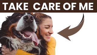 4 Amazing Tips To Help Your Dog Live A Longer And Healthier Life (According to Science) 🐶
