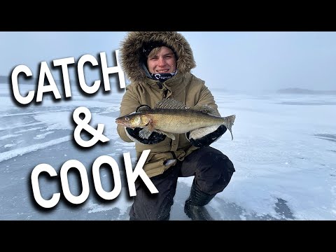 SYÖDÄÄN MITÄ SAADAAN 🐟 FT. BOHEEMI