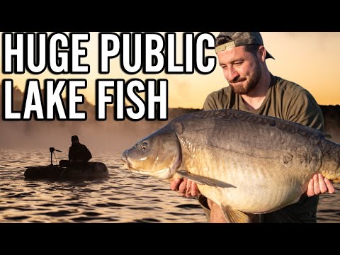 SOLO FISHING FOR BIG CARP - Public Lake Fishing in France