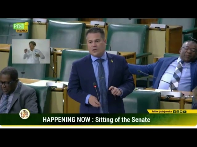 WATCH: Samuda chides Bunting over Redberry protest comment - Vimarsana News