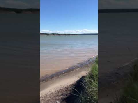 beach area