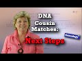 AncestryDNA Cousin Matches: Next Steps AncestryDNA Cousin Matches: Next Steps