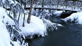 WINTER PEACE - JIM BRICKMAN