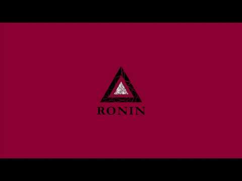 Zack Hemsey - "The Zoo"