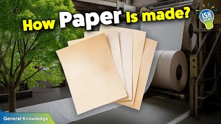 How is Paper Really Made?