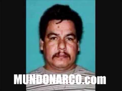 Corrido De Antonio Ezequiel Cardenas Guillen  Tormenta