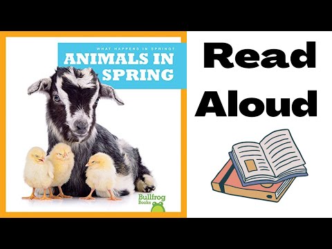 Animals in Spring Read Aloud